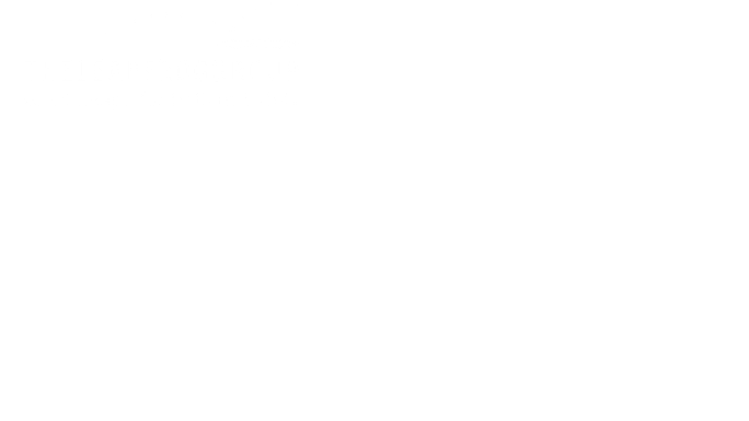Safety%20Net%20Donor%20Proposal%20(12).png